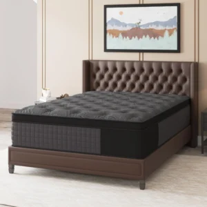 Queen Mattress, 14 Inch Hybrid Mattress with Gel Memory Foam and Individually Pocket Innerspring Euro Top Mattresses Medium Firm